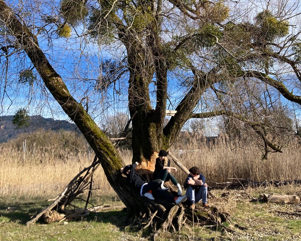 Früh, Früher, Frühling!