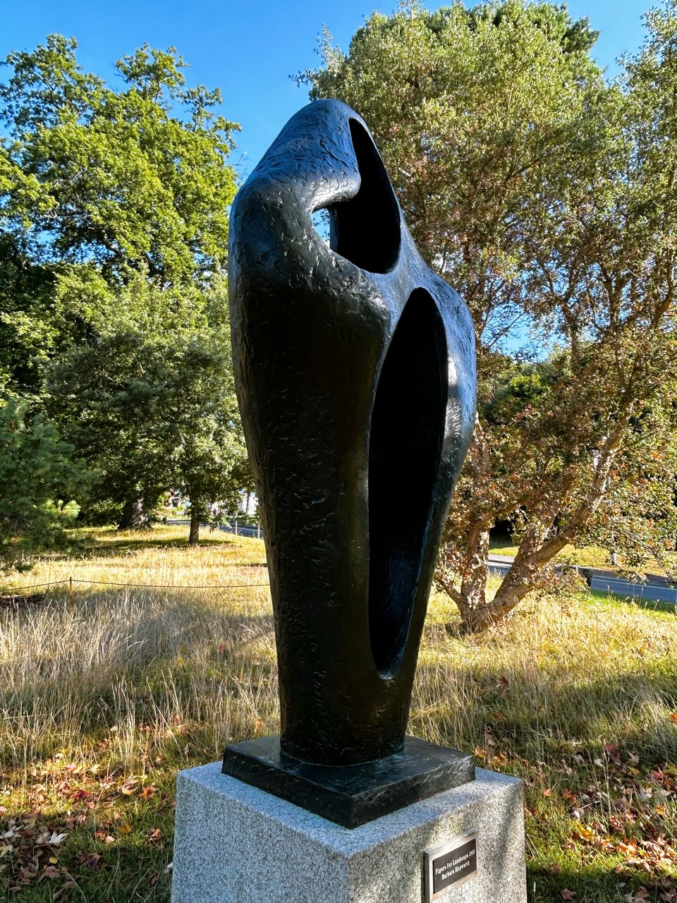A bronze non-figurative statue. It is shaped like the shadow of a human but 3D, and with a void in it that can be glimpsed through two piercings. The mottled bronze is reflecting the blue sky. There are trees and very dry grass in the background.