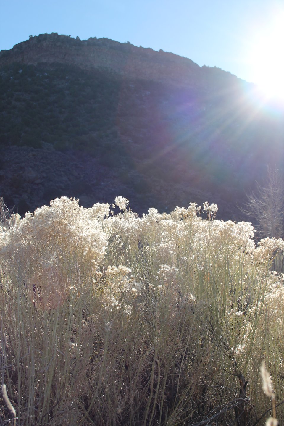 a photo of morning sunbeams coming over a canyon wall taken by my partner while in Carson, NM
