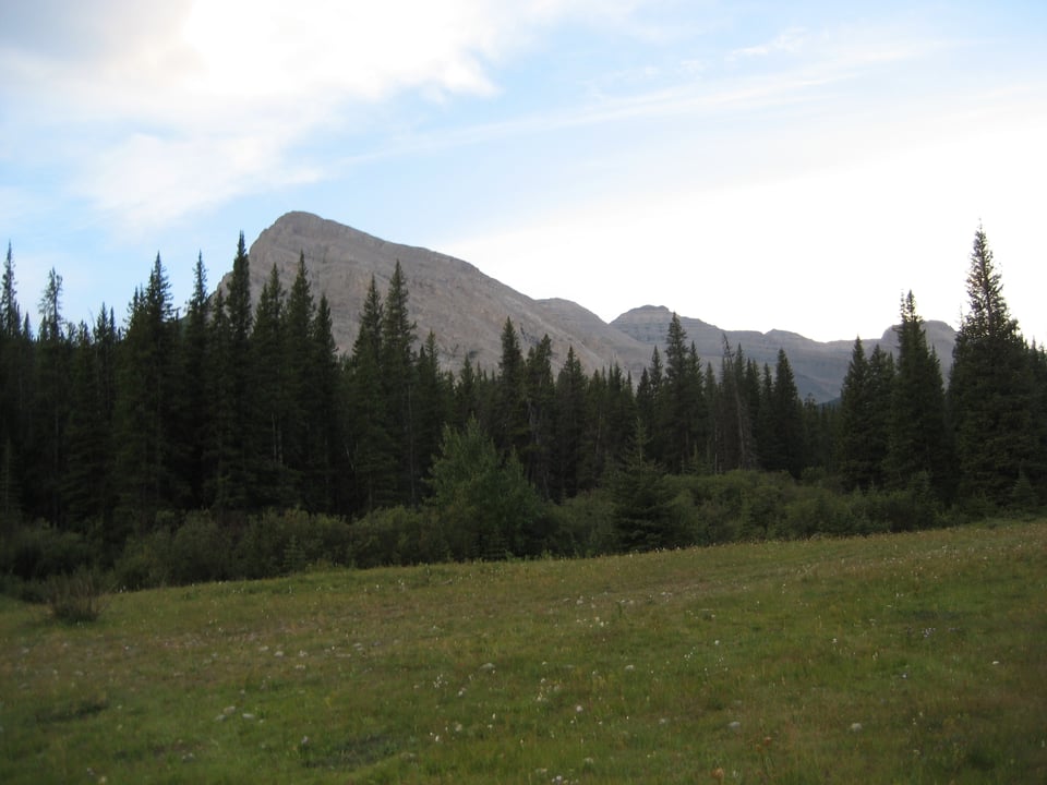 A green meadow with fir trees on the far side and a brown mountain peak beyond