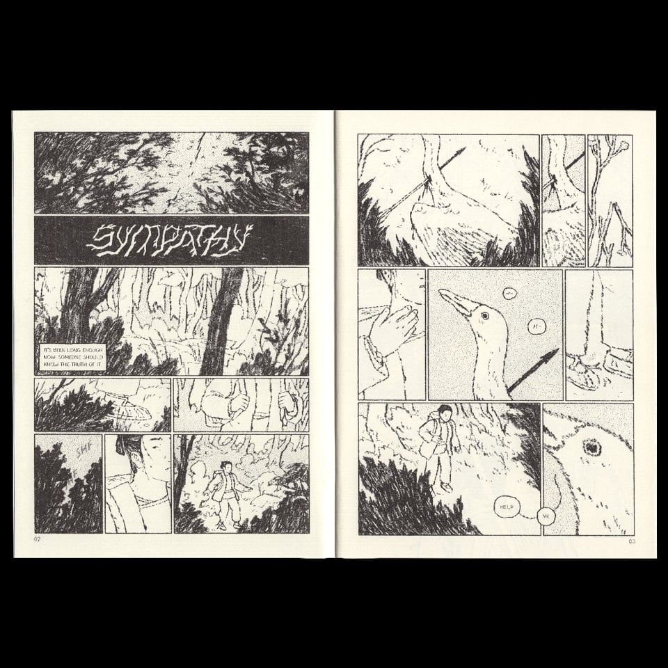 A comic spread: "Sympathy" in lettering made of broken branches. A villager walks through a forest and finds a goose-like bird with an arrow through its neck, which begins to speak.