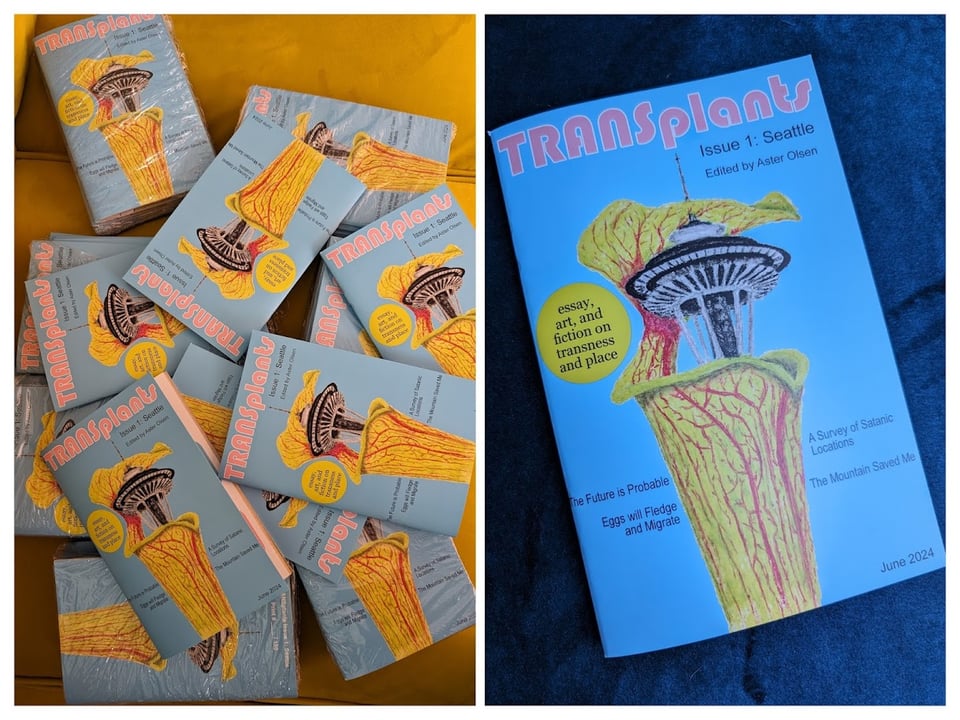 printed copies of the TRANSplants zine before shipping