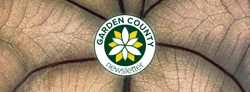 Local Gardening Events in November 2025