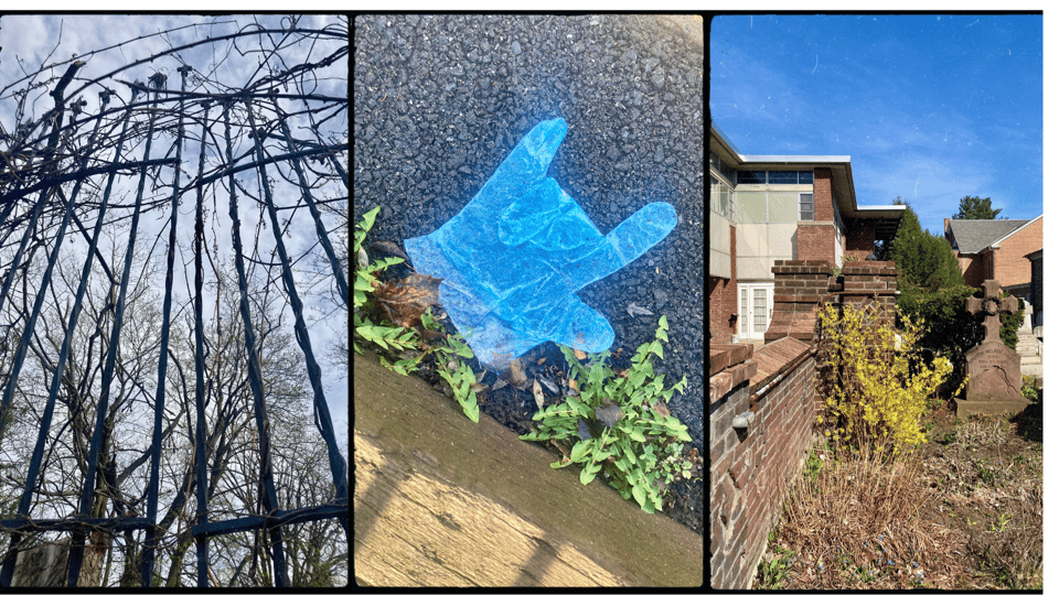 3 photos. L-R: a black iron gate with tangled vines; a bluish plastic glove plastered to pavement by rain, arranged in devil horns by chance or providence; a cemetery with a yellow forsythia bush.