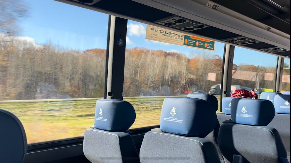 Autumn trees outside a bus window