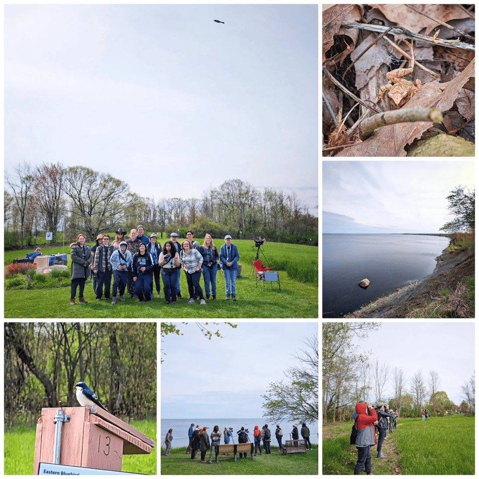 A few photos from our last birding hike at Derby Hill Observatory