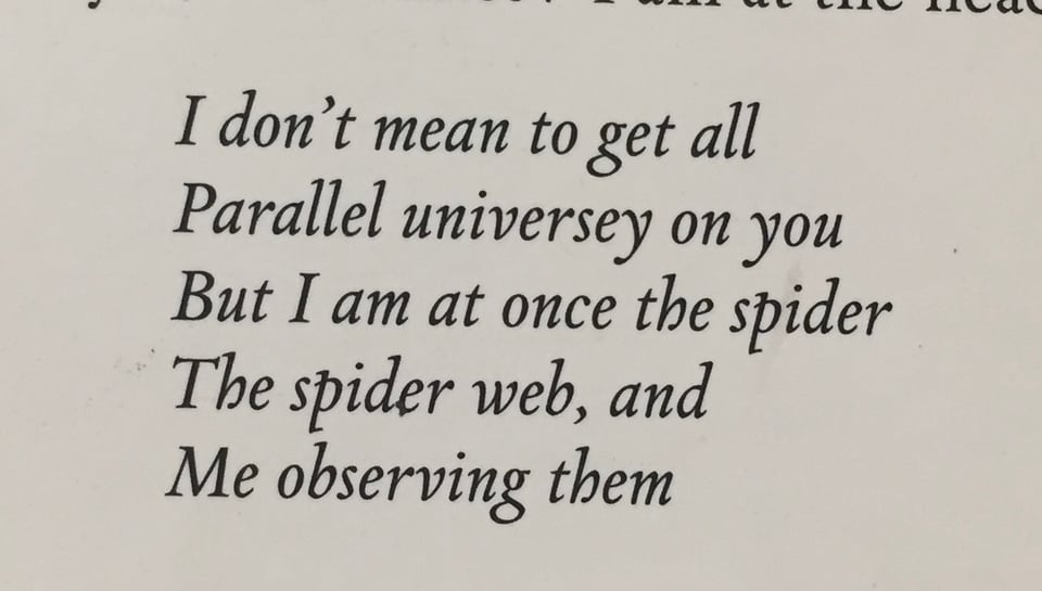 Text that reads, I don't mean to get all/ Parallel universey on you/ But I am at once the spider/ The spider web, and/ Me observing them.