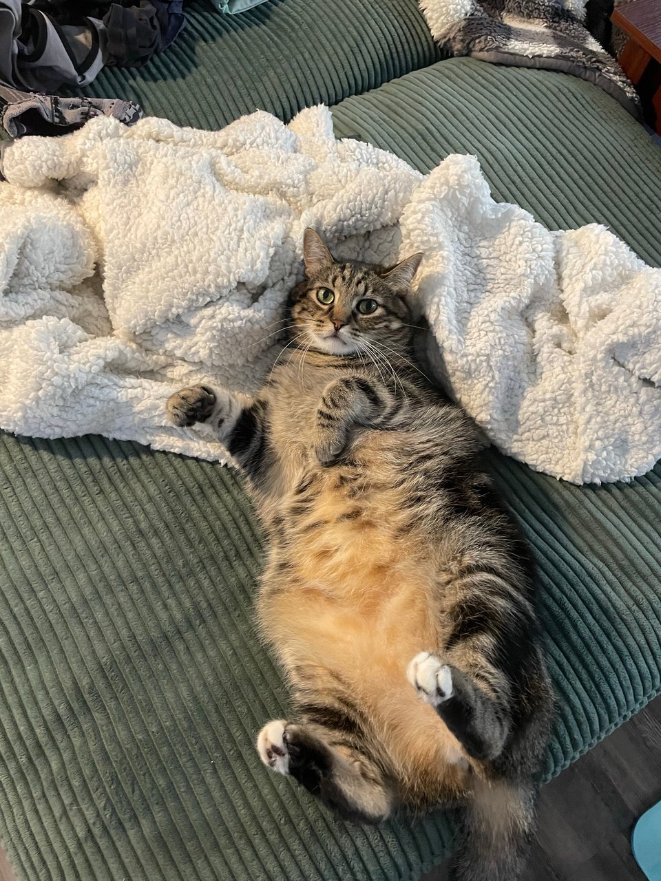 Georgino being cute