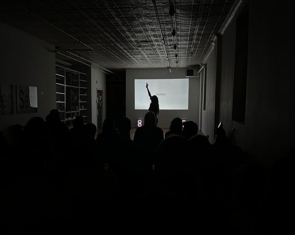 A seated audience facing a projected image on a wall, the silhouette of a performer backlit before it.