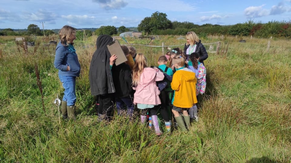 Gathering of small children around an ecologist and some interesting bugs in a field