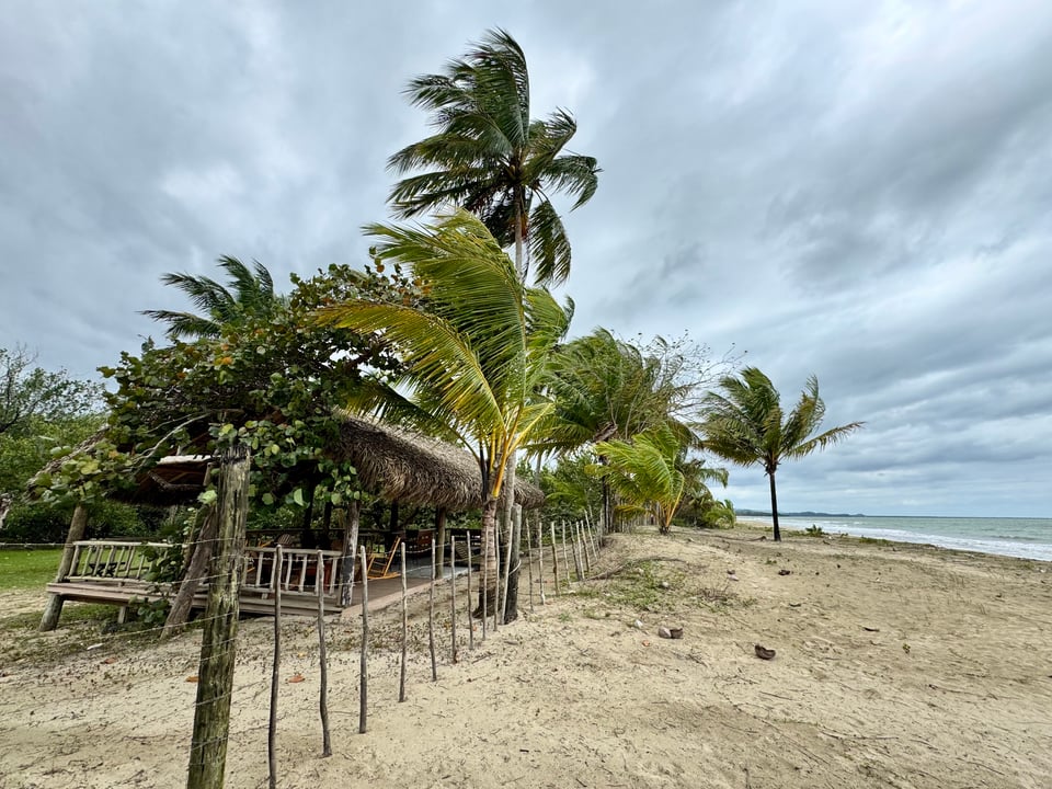 Beach scene with palm trees along a sandy shore, a rustic wooden fence, and a thatched-roof structure under an overcast sky. The palm fronds are blowing in the wind.