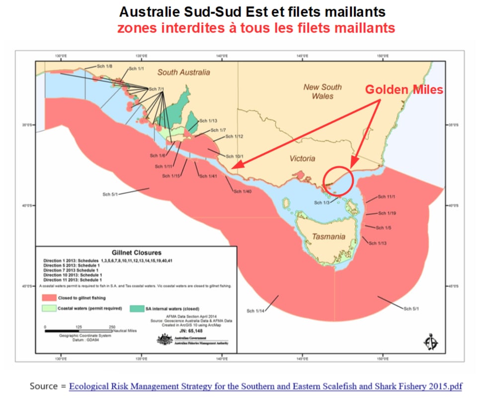 Côtes Australie Sud-sud-est : les zones en rose et vert sont interdites à la pêche au filet maillant. Remarquez le liseré rose en bord de côte qui correspond à l'interdiction des filets maillants dans les trois premiers milles (Golden Miles).