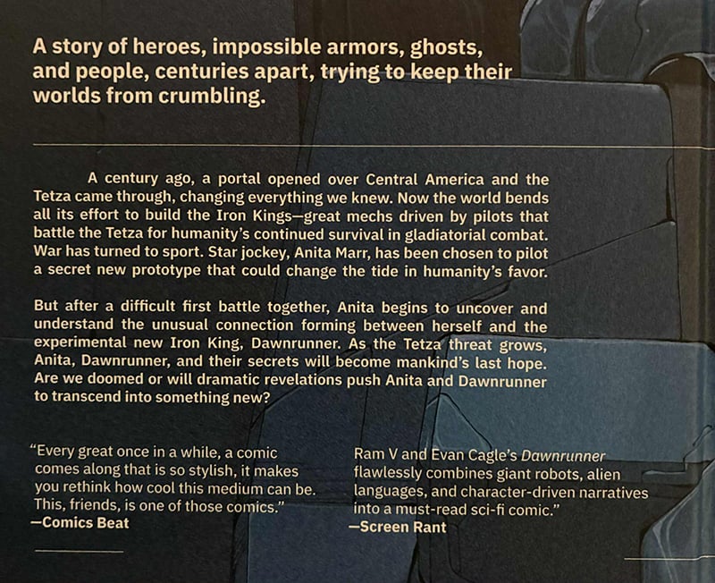 Back cover of Dawnrunner. It describes the book.