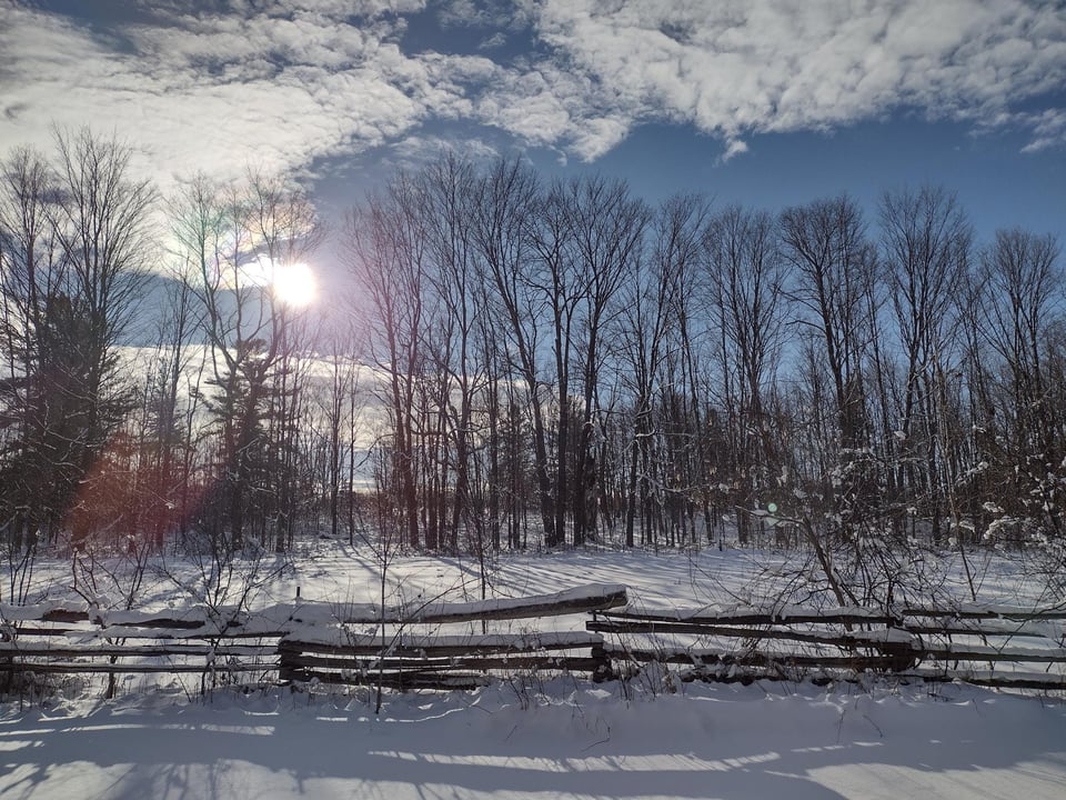 Sun low in sky behind woods in winter