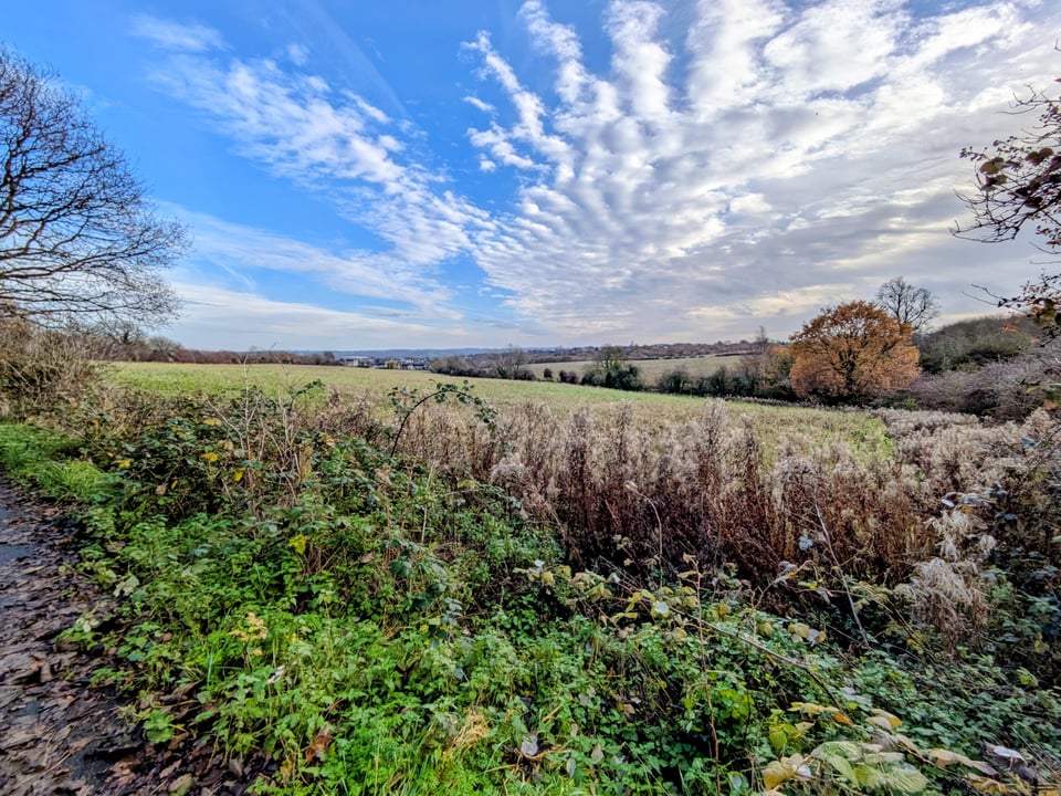Bramley Common Dec 2025