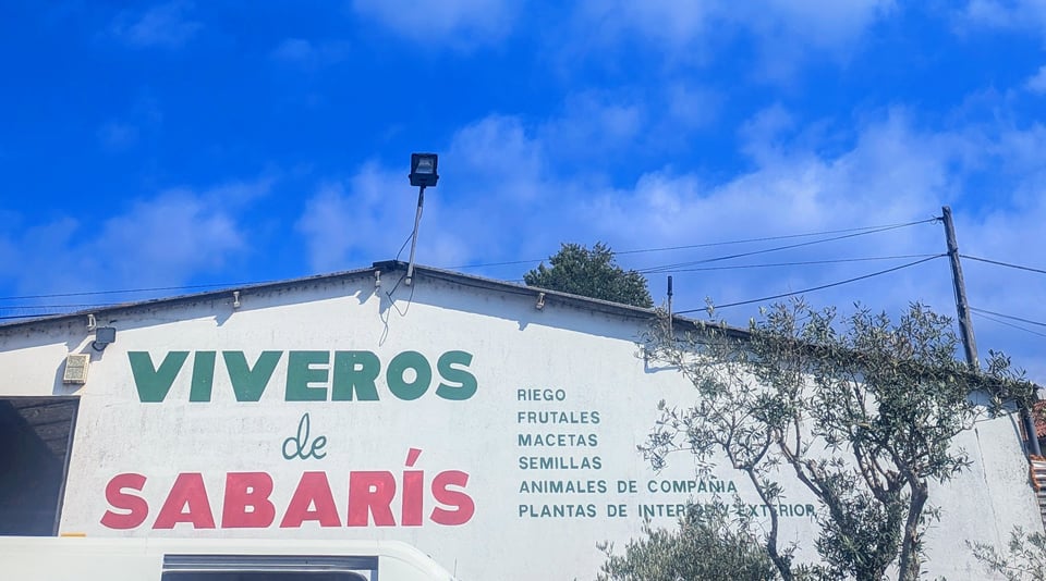 Foto de los Viveros de Sabarís y del cielo azul encima.