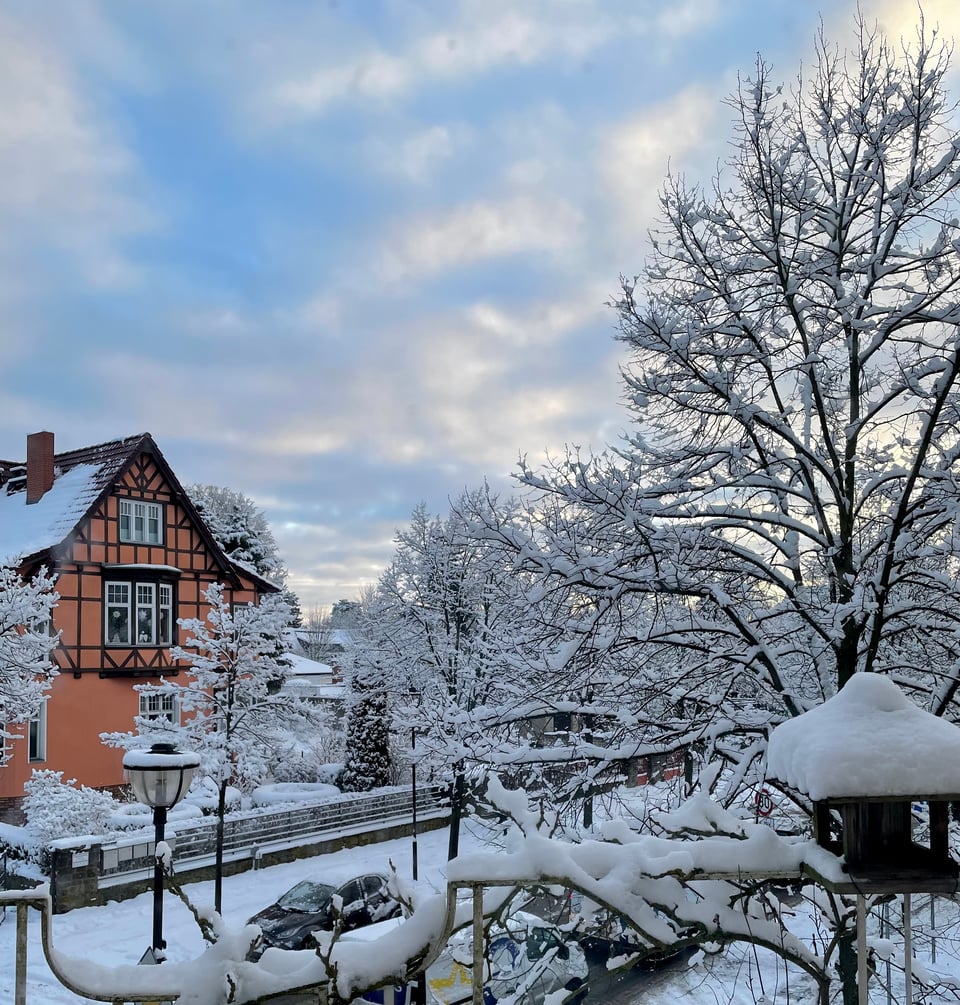 A snow covered balcony with a snow covered bird shelter. There is a peach coloured house in the background, with snow covered trees and street in the foreground