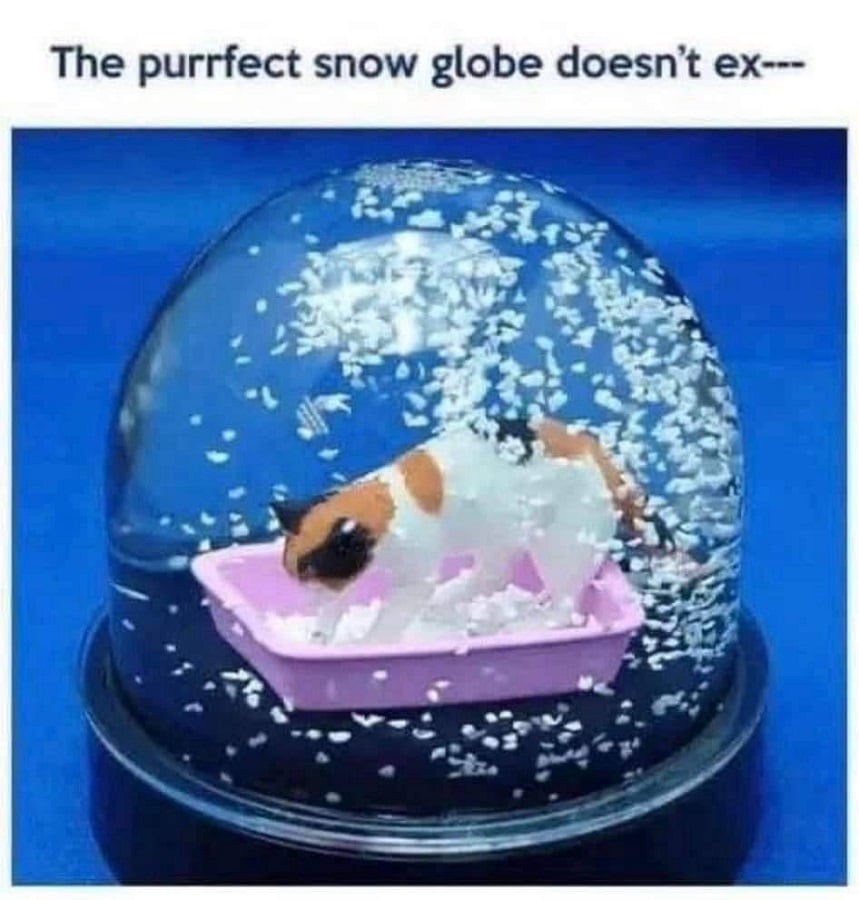 Text that reads: The puurfect snow globe doesn't ex---

A photo of a snowglobe that contains a cat digging in its litter tray, with the "snow" being the litter.