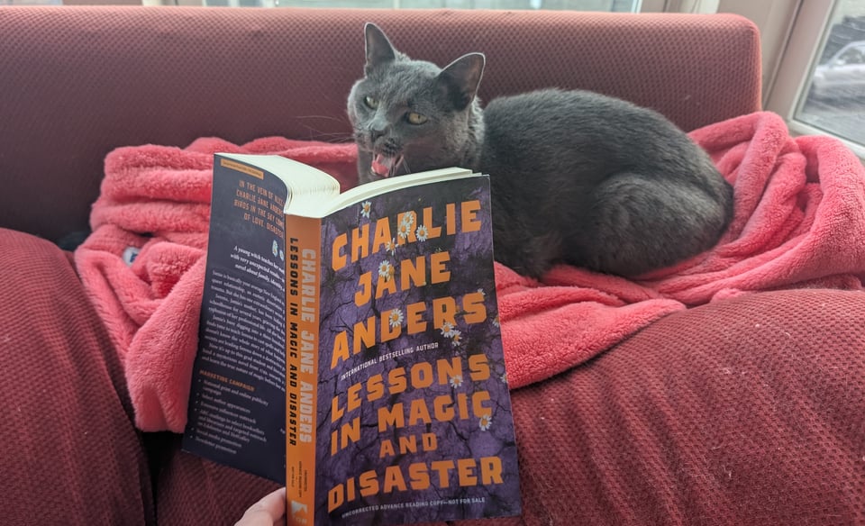 A gray tabby cat sits on a reddish sofa on top of a peach/pink covered slanket. Cat is looking at an open copy of Lessons in Magic and Disaster, with a purple cover showing cracked earth and daisies.