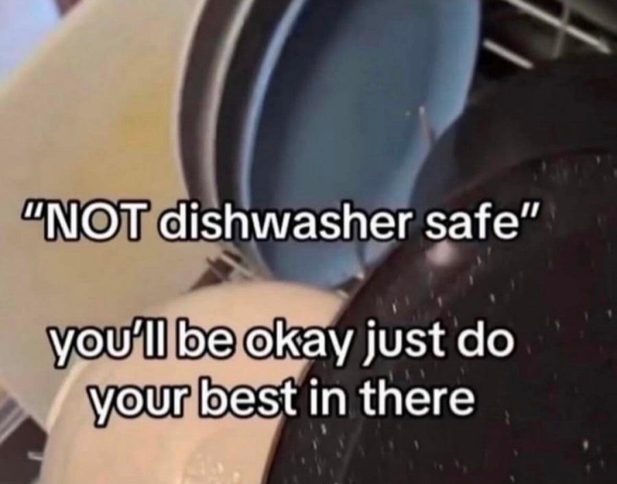 A photo of some dishes stacked inside a dishwasher. Overlaid text reads:
"NOT dishwasher safe"
you'll be okay just do your best in there