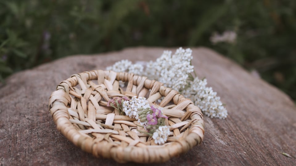🌙🧺 Fall workshops in Red Deer and Bragg Creek