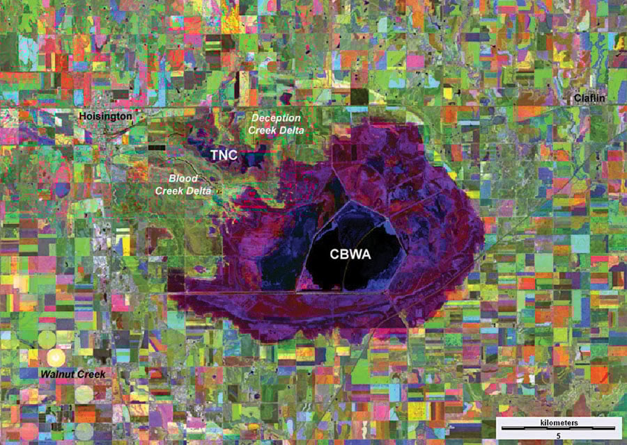 [A more digital-looking image of land divided into many different pixel-like rectangular shapes in different colors. In the center is a large purple swatch of land, and in the middle of that is a black circle with the letters CBWA.]