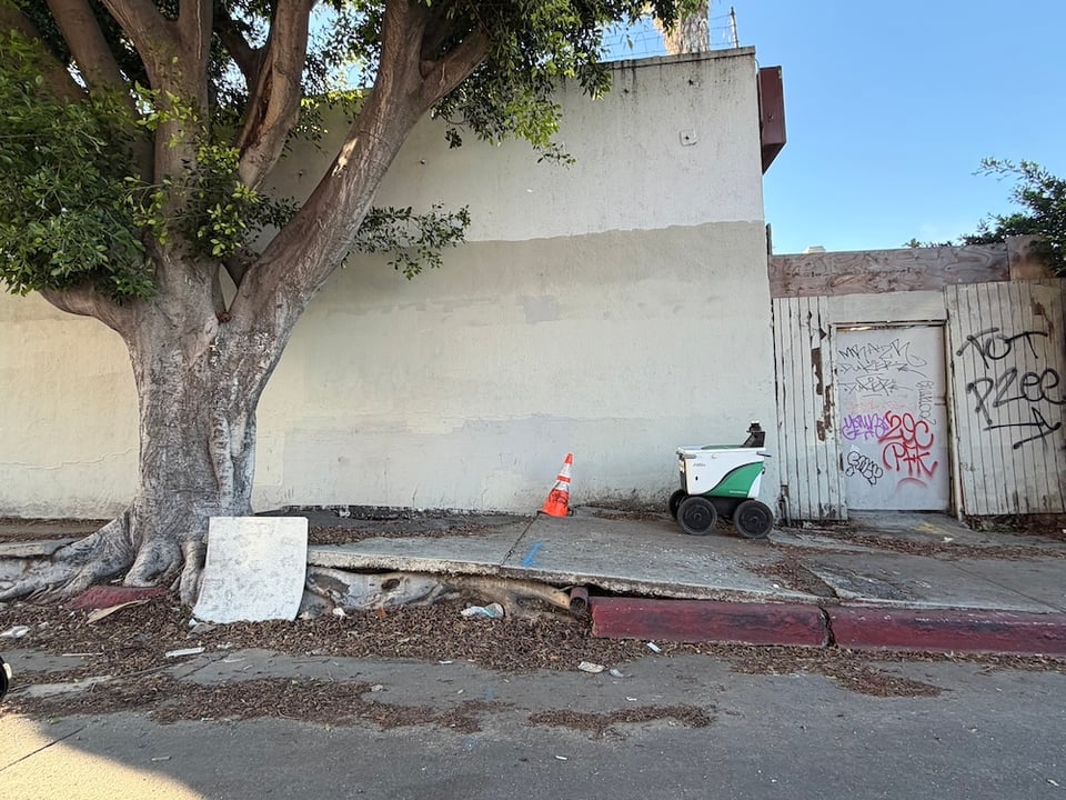 a sidewalk split by a tree, an a delivery robot cannot cross the split. Graffitied walls in the background.