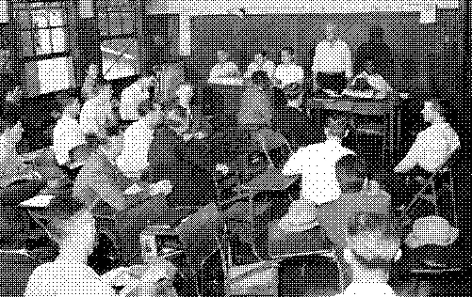 Website League update for February