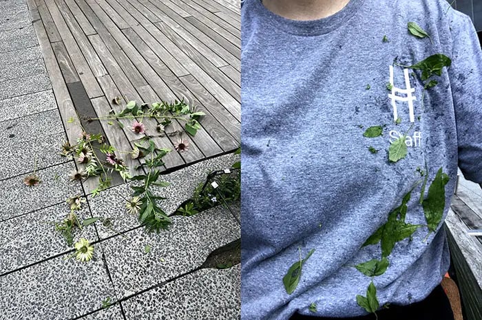 On the left hand side, a few pruned flowers and stems lay across a wooden walkway. On the right hand side, Cortney with leaves all down her sweatshirt.