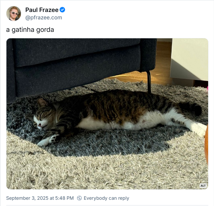 Post de Paul Frazee (@pfrazee.com) com o texto: a gatinha gorda (imagem de uma gatinha malhada (tigrada) deitada no chão, dormindo debaixo de uma cadeira)