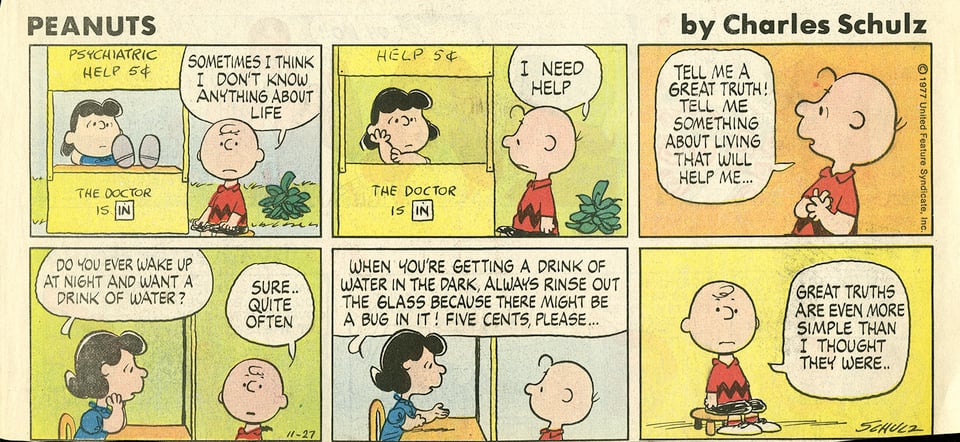 Episode of Peanuts from 1976 in which Lucy explains to Charlie Brown that if he gets a drink of water at night, he should wash out the glass "because there might be a bug in it." She charges him five cents.