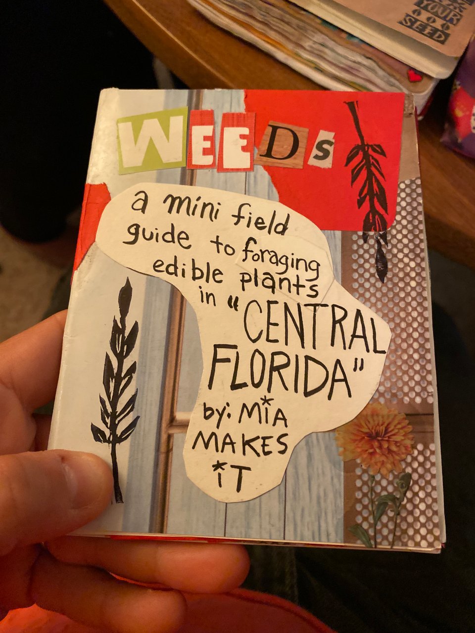 the cover of my zine about edible weeds in central florida