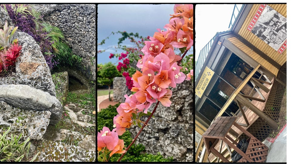 photo grid with 3 pictures. L-R: steps descending into a well carved out of limestone and planted with bromeliads; a peach-colored bougainvillea vine with limestone feature behind; the front of the Miccosukee museum in Homestead.