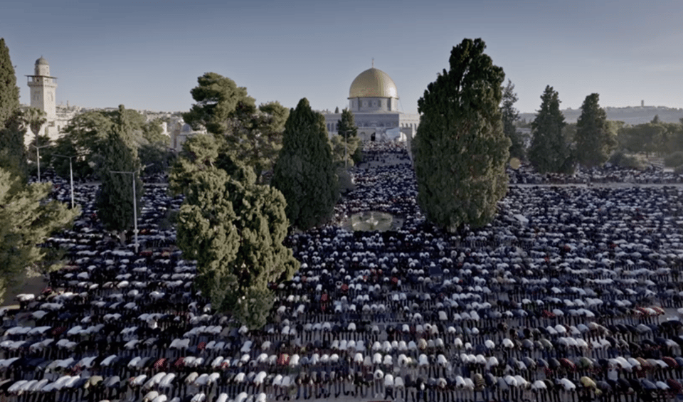 Photograph showing a huge crowd of people gathered outdoors, all bowing in prayer with Jerusalem's Dome of the Rock behind them.  The scene includes tall trees in the vista, all filled with praying people