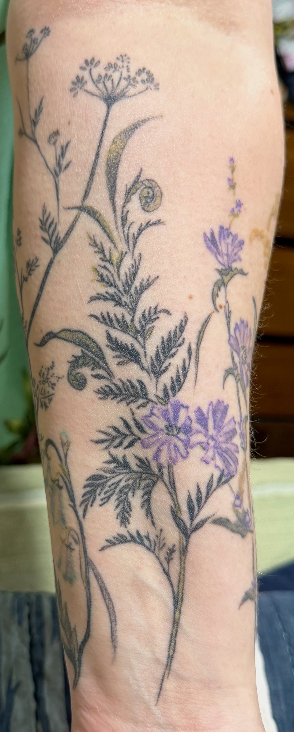 Picture of a white person’s forearm with a sketch-style tattoo of wildflowers.
This image is focused on the fern and fiddlehead part of the tattoo
which is done in a thin, black line style, with a couple of leaves that have a dusky green color.