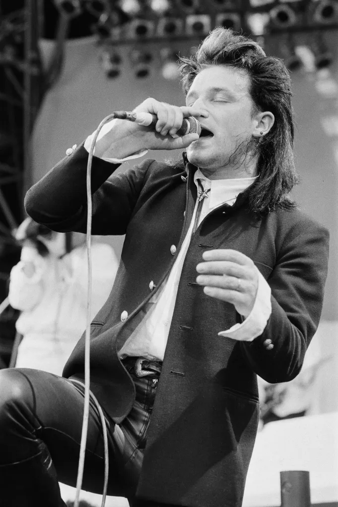 cue bono