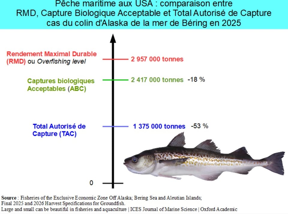 Les USA ont obtenu l'adoption du principe du Rendement Maximal Durable (RMD) par l'ONU en 1955 à Rome. Leur but n'était pas de protéger les populations de poissons mais de garantir la libre circulation de leurs navires de pêche partout dans le Monde. Mais ils se sont rendus compte des effets dévastateurs du RMD en matière de conservation. Ils ont réagi en adoptant des législations en faveur de la protection des fonctions biologiques et des écosystèmes en 1996 (Sustainable Fisheries Act) puis 2007 (MSA Reauthorization Act). Ils ont rebaptisé le RMD par son vrai nom « Niveau de Surexploitation » (Overfishing level). Les plafonds de captures sont fixés au niveau bien plus faible des Captures Biologiques Acceptables (Acceptable Biological Catches). Enfin, les quotas de captures (Total Allowable catches) sont autorisés à des niveaux qui peuvent être encore plus faibles. L'exemple ci-contre du Colin d'Alaska (Theragra chalcogramma), l'espèce la plus pêchée au monde et aux USA est éloquent.
