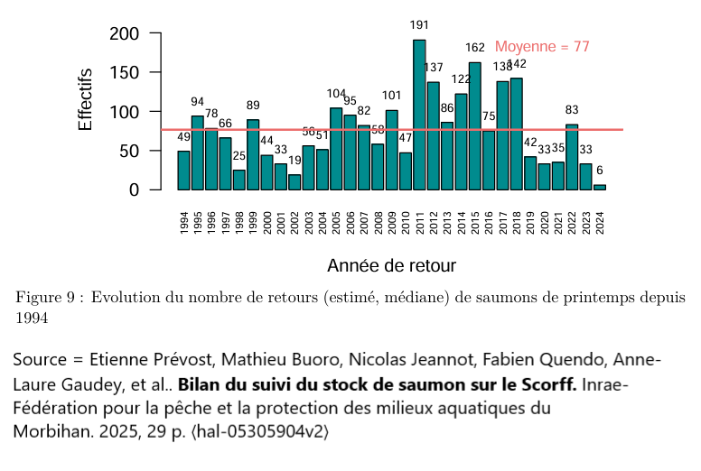 Évolution du nombre de retour de saumons de plusieurs hivers de mer dans la rivière Scorff en Bretagne. « Le pronostic pour les quelques années à venir est pessimiste car, le flux de juvéniles dévalant en 2024 (retours d’adultes 2025 2026) est faible, la production de tacons 0+ 2024 (retours d’adultes 2026-2027) est passable et la dépose d’œufs 2024 (retour d’adultes 2027-2029) est la plus faible jamais enregistrée. La population de saumon du Scorff est ainsi passée en quelques années d’un statut de conservation très satisfaisant (jusqu’à la fin des années 2010) à un statut précaire. »
Citation tirée de Etienne Prévost, Mathieu Buoro, Nicolas Jeannot, Fabien Quendo, Anne-Laure Gaudey, et al.. Bilan du suivi du stock de saumon sur le Scorff. Inrae- Fédération pour la pêche et la protection des milieux aquatiques du Morbihan. 2025, 29 p. ⟨hal-05305904v2⟩