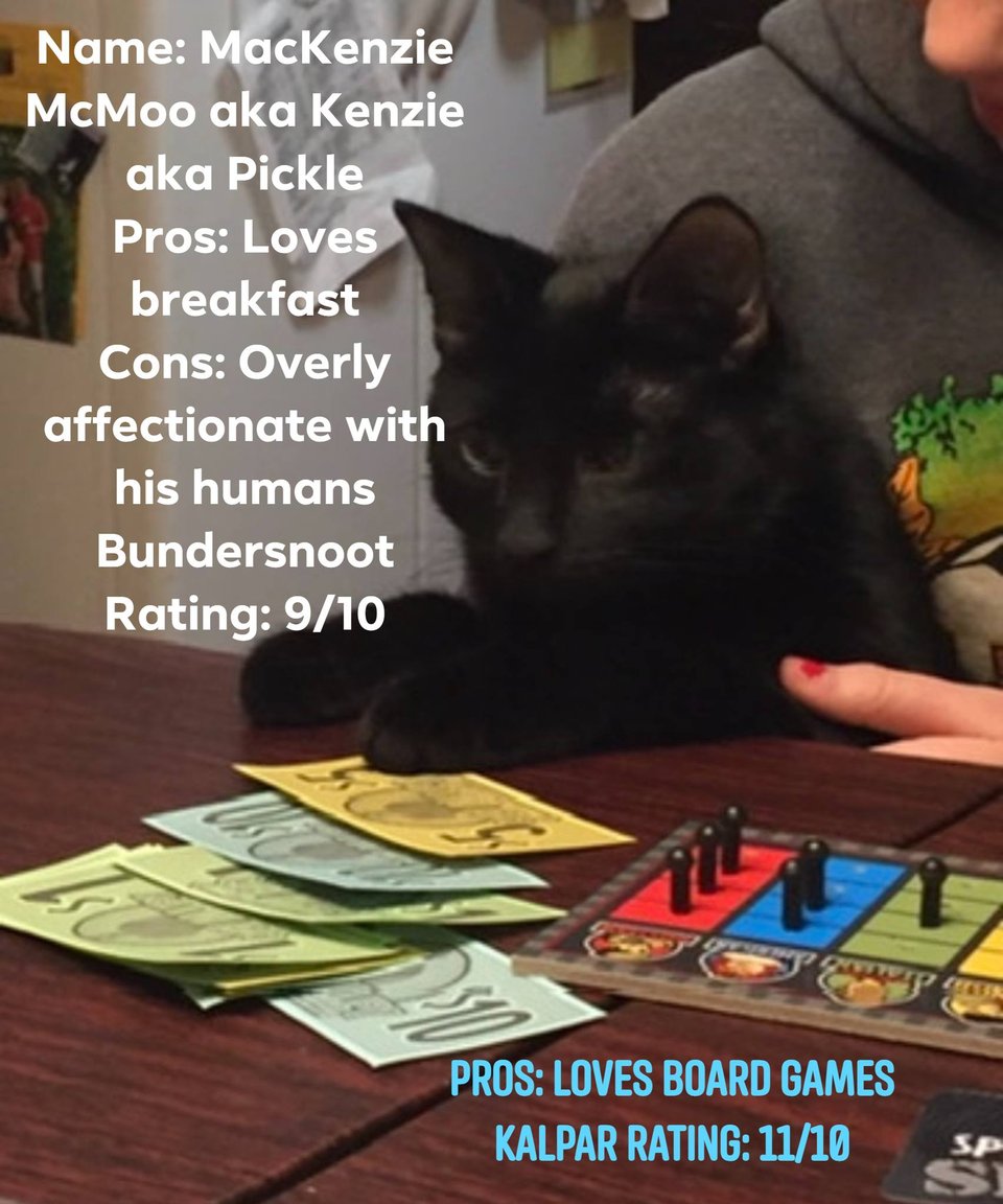 Picture of a black cat playing a board game with the following text. Name: MacKenzie McMoo aka Kenzie aka Pickle Pros: Loves breakfast Cons: Overly affectionate with his humans Bundersnoot Rating: 9/10 Pros: Loves Board Games Kalpar Rating: 11/10