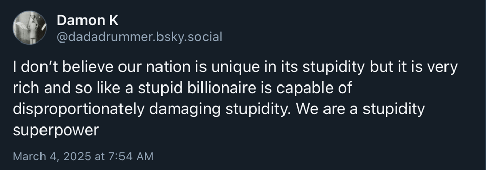 Bluesky post by Damon Krukowski, March 4, 2025: "I don’t believe our nation is unique in its stupidity but it is very rich and so like a stupid billionaire is capable of disproportionately damaging stupidity. We are a stupidity superpower"