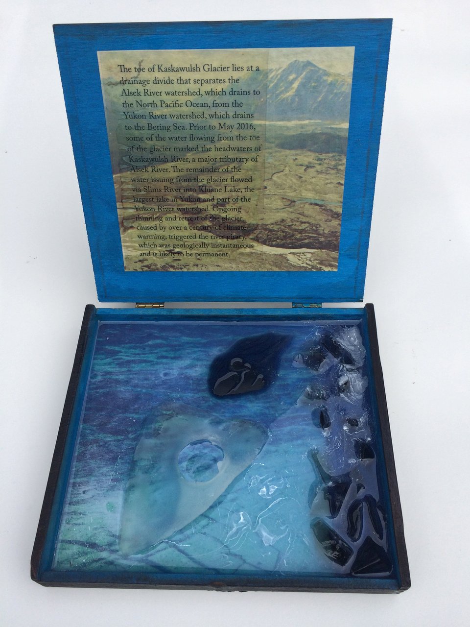 photograph of mixed media shrine about climate change