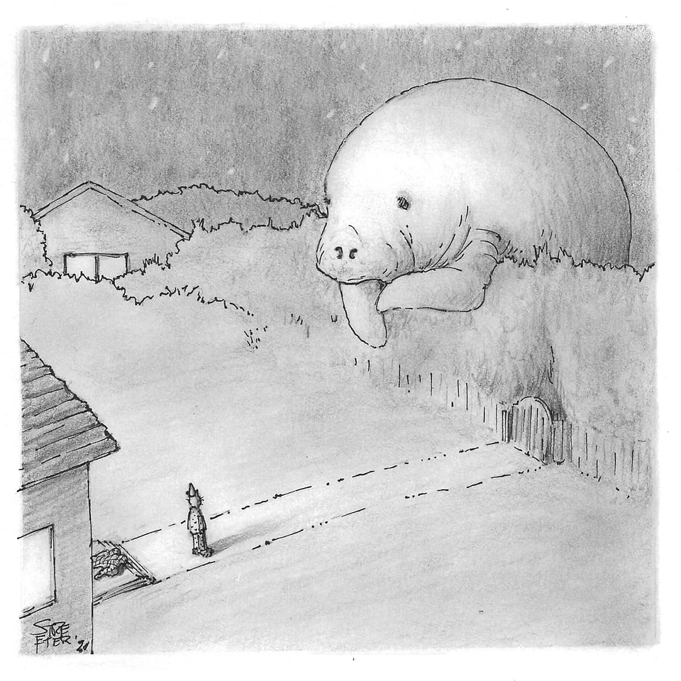 On Peeking Over the Fence