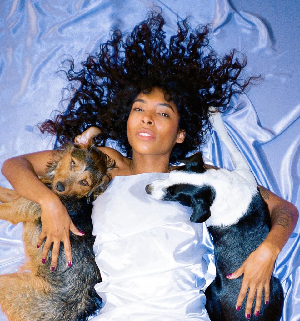 An image of a woman lying on a periwinkle sheet, holding two dogs under her arms. An homage to Kate Bush's album art for the record Hounds of Love.