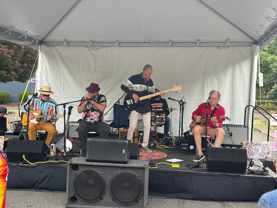 the lost remotes performing at the Kenton Street Fair