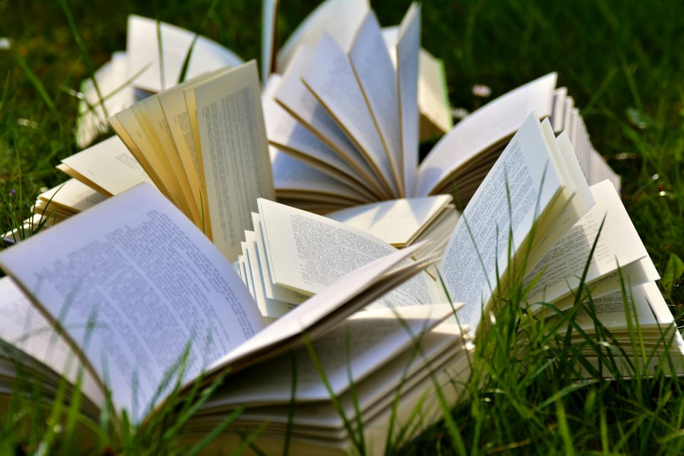 Image of several open notebooks lying in the grass.