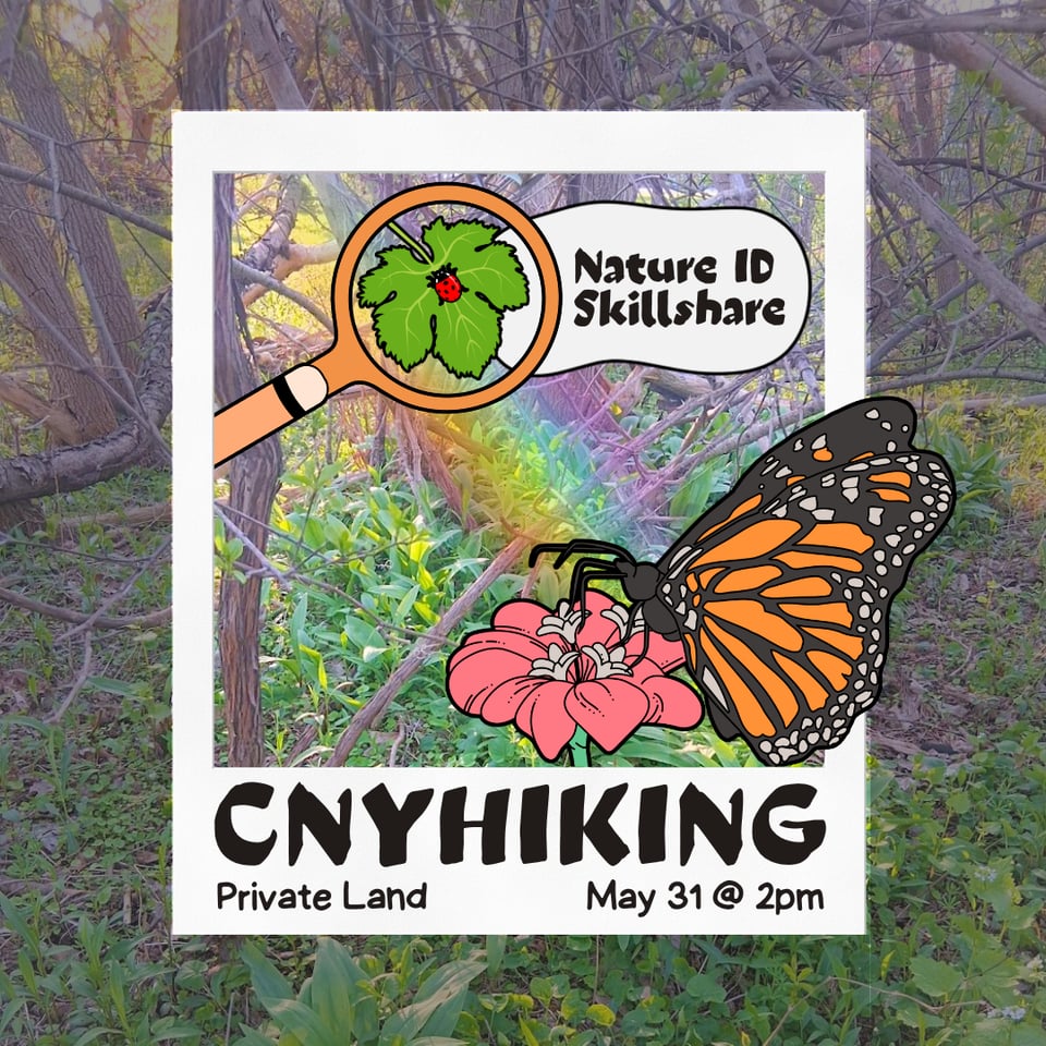 🌈 Upcoming Nature ID Walk on Private Land! 5/31 @ 2PM
