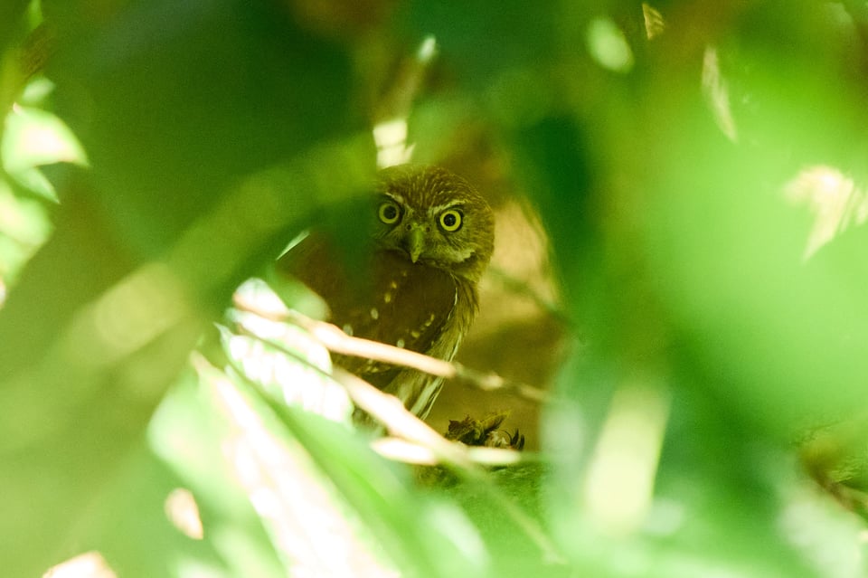 The Ed's Up - A Honduran Photo-Essay