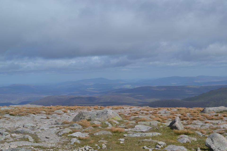 A field of rocks and mountains in the distance.