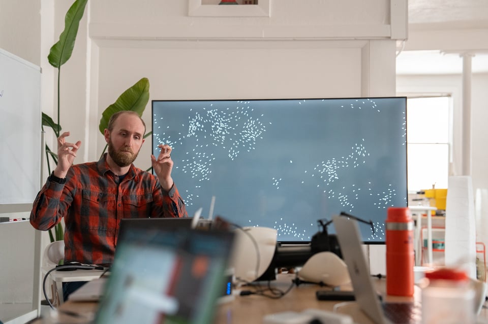 Dave sharing a simulation of boids on the TV.