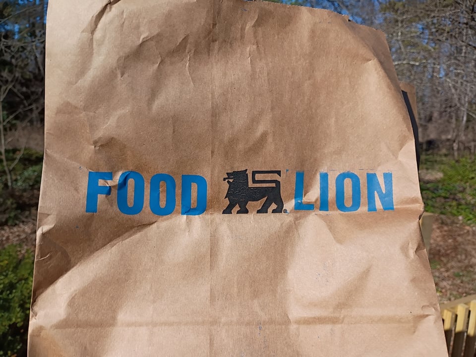 A paper bag with the Food Lion logo printed on it